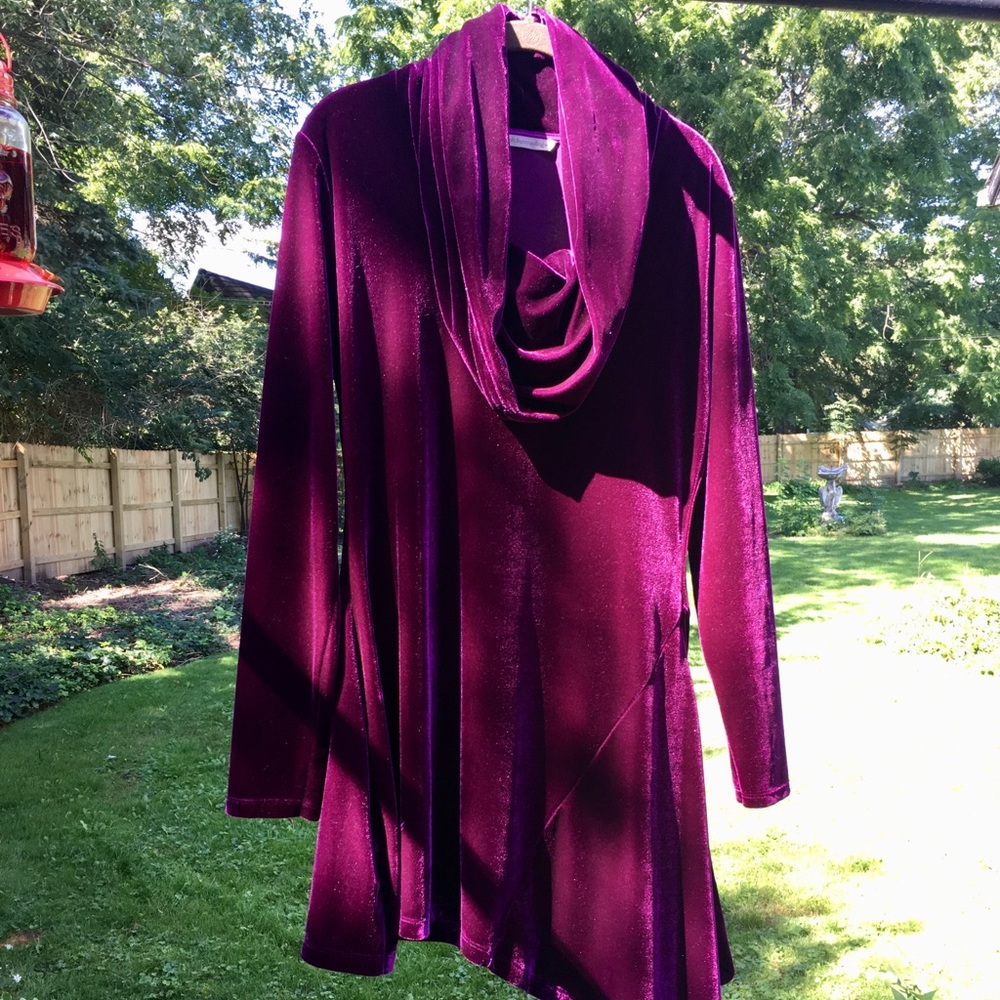 Asymmetrical Soft Surroundings Maroon Top